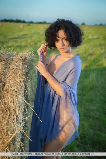Ravishing brunette Pammie Lee shows off her killer body in the sunset
